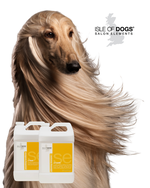 A Guide to Caring for Long-Haired Breeds with Salon Elements